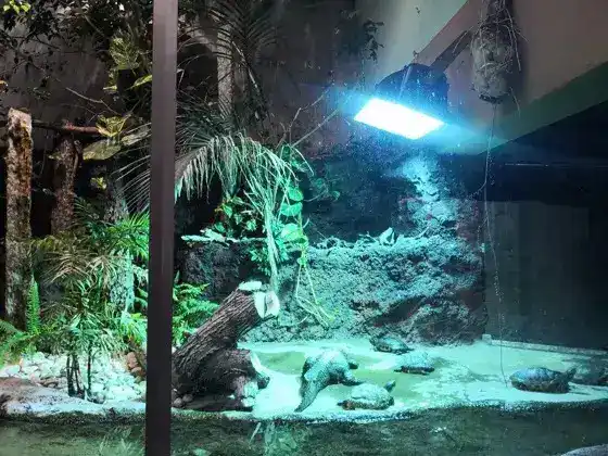 Aquarium Berlin, UV-Beleuchtung für Aquarien und Zoos