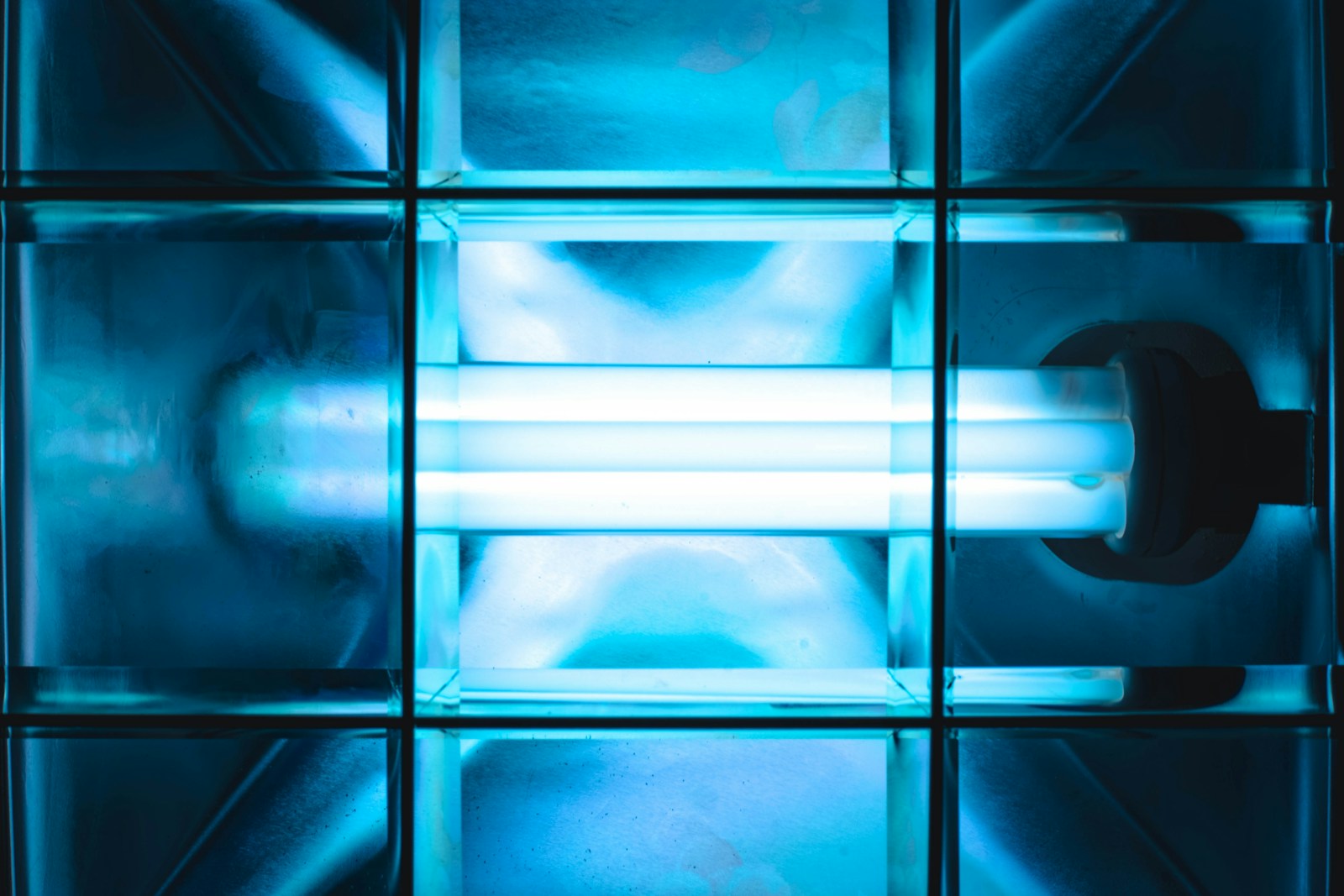 a person looking through a window